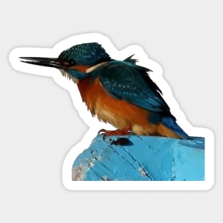 Turquoise Blue Fishing Bird Vector Art Sticker